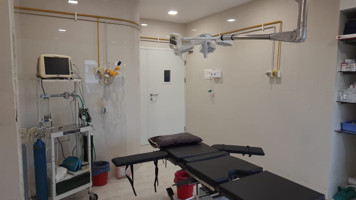 WhatsApp Image 2022-10-18 at 3.11.05 PM (1)